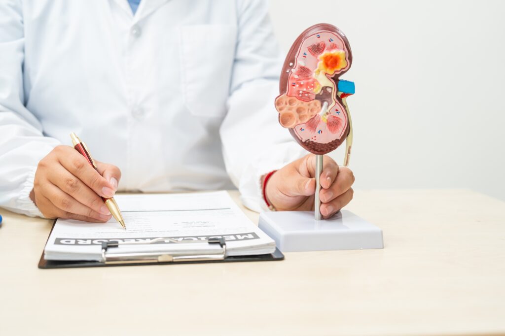 A female doctor works at a desk in hospital,discussing kidney failure and chronic kidney disease.